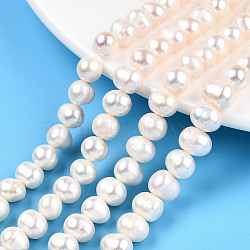 Natural Cultured Freshwater Pearl Beads Strands, Potato, Creamy White, 6.5~7mm, Hole: 0.6mm, about 52~54pcs/strand, 13.39 inch(34cm)(PEAR-N013-06F)