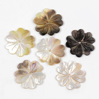Natural Black Lip Shell Beads, Flower, 22x1~1.5mm, Hole: 1.5mm