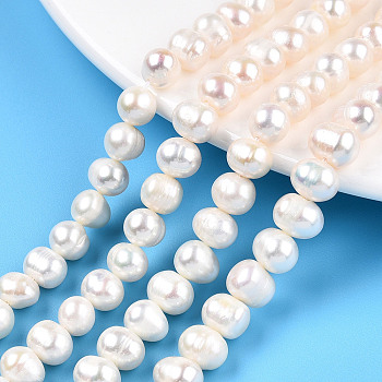 Natural Cultured Freshwater Pearl Beads Strands, Potato, Creamy White, 6.5~7mm, Hole: 0.6mm, about 52~54pcs/strand, 13.39 inch(34cm)