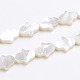 Perlas de concha de nácar de concha blanca natural(X-SSHEL-L017-006)-1