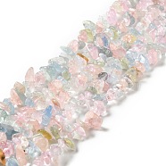Natural Morganite Beads Strands, Grade A, Chip, 5.5~13x4~6x3~6mm, Hole: 1mm, 15.35 inch(39cm)(G-F716-02)