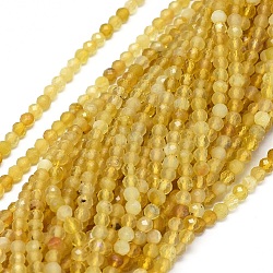 Natural Yellow Opal Beads Strands, Faceted, Round, 2mm, Hole: 0.5mm, about 190pcs/strand, 15.5 inch(39.5cm)(G-O180-05A)