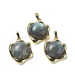 Natural Labradorite Pendants, Rack Plating Golden Plated Brass Nuggets Charms, Cadmium Free & Lead Free, 23.5x19x6.5mm, Hole: 2.5x5.5mm(G-G069-01G-06)