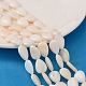 Natural White Shell Beads Strands(PBB263Y-1)-1