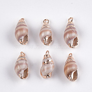 Electroplate Spiral Shell Pendants, with Iron Findings, Light Gold, Seashell Color, 16~20x8~9x7~8mm, Hole: 1.5mm(SSHEL-T006-13)