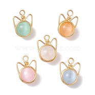 Natural Selenite Dyed Round Bead Pendants, Kitten Head Charms with Copper Wire Cat Ears, Golden, Mixed Color, 16x12x8.5mm, Hole: 1.6mm(PALLOY-TA00152)