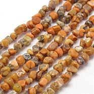 Natural Yellow Moss Agate Beads Strands, Nuggets, 3~5x3~5x3~8mm, Hole: 1mm, about 85~90pcs/strand, 15.7 inch(40cm)(G-F465-10)