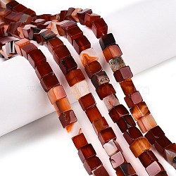 Natural Red Agate(Dyed & Heated) Beads Strands, Cube, 6~7x6~6.5x6~6.5mm, Hole: 1mm, about 60~61pcs/strand, 15~15.366''(38.1~39cm)(G-T139-6x6-35A)