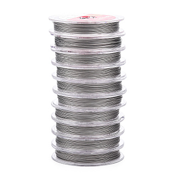 Tiger Tail Wire, Stainless Steel Wire, Round, Stainless Steel Color, 0.3mm, about 32.81 Feet(10m)/Set