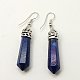 Natural Lapis Lazuli Earrings(EJEW-J007-01P)-1