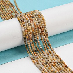 Natural Crazy Lace Agate Bead Strands, Grade A, Round, 2mm, Hole: 0.8mm, about 184pcs/strand, 38cm(G-A130-2mm-K10)