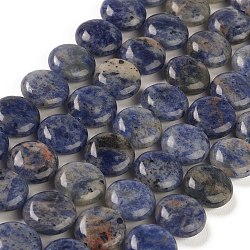 Natural Sodalite Beads Strands, Flat Round, 14.6~15.5x6~6.5mm, Hole: 0.8mm, about 27pcs/strand, 15.59''~15.87''(39.6~40.3cm)(G-M403-C11)