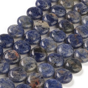 Natural Sodalite Beads Strands, Flat Round, 14.6~15.5x6~6.5mm, Hole: 0.8mm, about 27pcs/strand, 15.59''~15.87''(39.6~40.3cm)