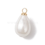 Shell Pearl Teardrop Charms, with Brass Bails, Golden, White, 13.5x7.5mm, Hole: 1.6mm(PALLOY-JF04859)