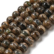 Tibetan Style dZi Beads Strands, Natural & Dyed Agate Beads, Round, Camel, Striped Pattern, 8mm, Hole: 1.4mm, about 49pcs/strand, 14.49''(36.8cm)(G-P526-D02-01)