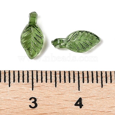 Transparent Acrylic Charms(X-TACR-F009-11D)-3