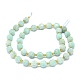 Natural Amazonite Beads Strands(G-O201B-67A)-3