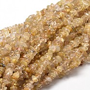 Natural Rutilated Quartz Chip Beads Strands, 5~14x4~10mm, Hole: 1mm, about 15.5 inch~16.1 inch(G-E271-90)