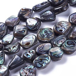 Natural Abalone Shell/Paua Shell Beads Strands, Nuggets, 14~20x11~18x6~8.5mm, Hole: 1.2mm, about 21~23pcs/strand, 15.1~15.5 inch(38.5~39.5cm)(SSHEL-F303-08A)
