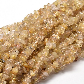 Natural Rutilated Quartz Chip Beads Strands, 5~14x4~10mm, Hole: 1mm, about 15.5 inch~16.1 inch
