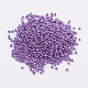 Glass Seed Beads(E06900B2)-1