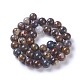 Natural Pietersite Beads Strands(G-P428-06-10mm)-1