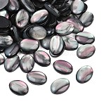 Resin Cabochons, Imitation Shell, Oval, Black, 18x13x4mm(CRES-J038-13x18mm-02)
