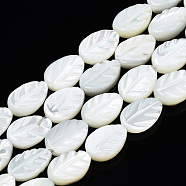 Natural Trochid Shell/Trochus Shell Beads Strands, Bleach, Leaf, White, 8.5~9x6x2.5~3mm, Hole: 0.8mm, about 45~49pcs/strand, 15.35 inch(39~42cm)(SSHEL-N034-135A-01)