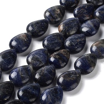Natural Sodalite Beads Strands, Teardop, 17.5~18x13x6mm, Hole: 1.2mm, about 22pcs/strand, 15.24 inch(38.7cm)