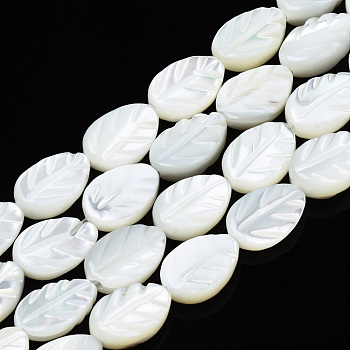 Natural Trochid Shell/Trochus Shell Beads Strands, Bleach, Leaf, White, 8.5~9x6x2.5~3mm, Hole: 0.8mm, about 45~49pcs/strand, 15.35 inch(39~42cm)