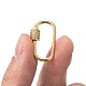 Brass Micro Pave Clear Cubic Zirconia Screw Carabiner Lock Charms(ZIRC-T010-10G)-5