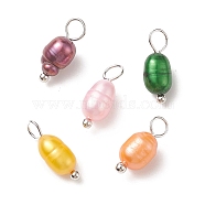 Dyed Natural Cultured Freshwater Pearl Rice Charms, with Brass Ball Head Pins, Mixed Color, Platinum, 13x5mm, Hole: 3.2mm(PALLOY-JF01948-02)