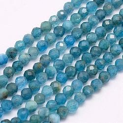 Natural Apatite Beads Strands, Faceted, Round, 2mm, Hole: 0.5mm, about 166~173pcs/strand, 15.5 inch(39cm)(G-F509-17-2mm)