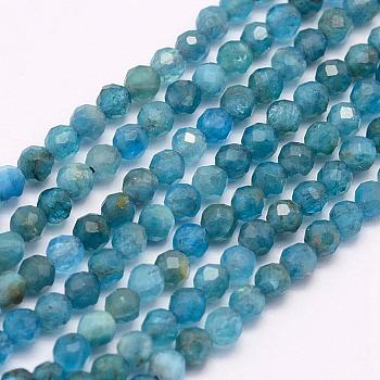 Natural Apatite Beads Strands, Faceted, Round, 2mm, Hole: 0.5mm, about 166~173pcs/strand, 15.5 inch(39cm)