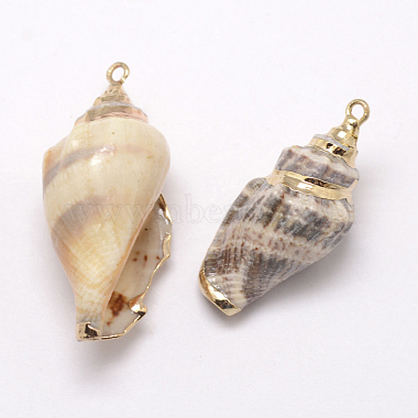 Pendientes de concha de caracol de oro galvánico(BSHE-M016-02)-2