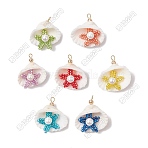 14Pcs 7 Colors Cylinder Seed Beaded Starfish & Shell Pendants, Shell Shape Charms with Round Shell Pearl, Golden, Mixed Color, 27.5~28x26~27x8.5~11mm, Hole: 2mm, 2pcs/color(PALLOY-GA00032)