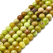 Natural Green Opal Beads Strands, Round, 6mm, Hole: 0.6mm, about 62~64pcs/strand, 14.96''~15.35''(38~39cm)(G-K245-A17-A02)
