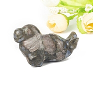 Natural Glaucophane Carved Healing Sea Dog Figurines, Reiki Energy Stone Display Decorations, 50.8mm(PW-WG85858-05)