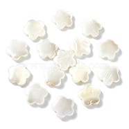 30Pcs Electroplate Natural Freshwater Shell Beads, Flower, Seashell Color, 10.5x11x3mm, Hole: 0.8mm(SHEL-CJ0001-26)