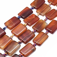 Natural Red Agate Beads Strands, Dyed & Heated, Rectangle, Chocolate, 25~26x17~18x4~7mm, Hole: 2~2.5mm, about 12pcs/strand, 15.3 inch~15.7 inch(39~40cm)(G-I245-47C)