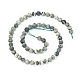 Natural Silver Line Jasper Beads Strands(G-L549-01-6mm)-3