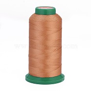 Polyester Sewing Threads, Temperature Heat Resistant Threads, DIY Leather Sewing Craft, Bookbinding, Shoe Repairing, Light Salmon, 0.3mm, 1800m/roll(OCOR-I007-271)