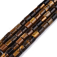 Natural Tiger Eye Beads Strands, Column, 7x6~6.5mm, Hole: 1mm, about 57pcs/strand, 15.35 inch(39cm)(G-N326-150-B02)