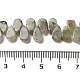 Natural Labradorite Beads Strands(G-B064-B62)-5
