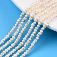 Natural Cultured Freshwater Pearl Beads Strands, Potato, Seashell Color, 2.5~3.5x2~3mm, Hole: 0.6mm, about 139~145pcs/strand, 13.35 inch~13.54 inch(33.9~34.3cm)(PEAR-N013-02G)