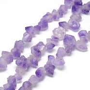 Natural Amethyst Beads Strands, Nuggets, 7~20x10~25x10~25mm, Hole: 1mm, about 35~45pcs/strand, 15.7 inch(G-R435-13)