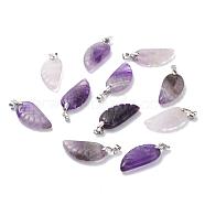 Natural Amethyst Pendants, Wing, Platinum, 29x15x6mm, Hole: 4mm(G-E339-02E)