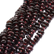 Natural Garnet Beads Strands, Nuggets, 8~11x9~14x1.5~5mm, Hole: 0.8mm, about 74pcs/strand, 15.55''(39.5cm)(G-E569-J04)