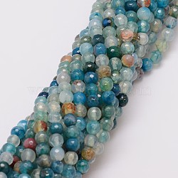 Natural Agate Bead Strands, Dyed, Faceted, Round, Medium Turquoise, 6mm, Hole: 1mm, about 56~58pcs/strand, 14 inch(X-G-G882-6mm-C02-1)