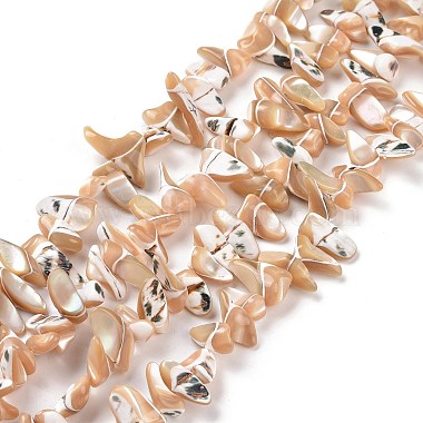 Tan Nuggets Trochus Shell Beads